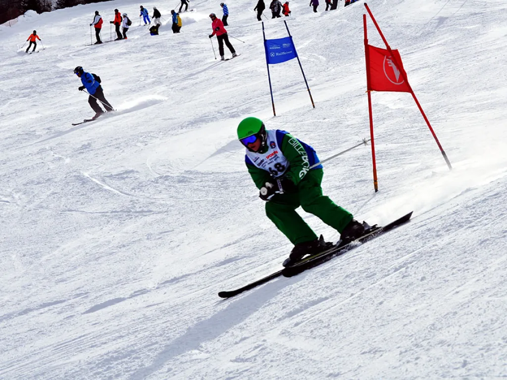 Skifahrer in grüner Kleidung zwischen den Toren.